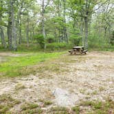 Review photo of Nickerson State Park Campground by Jean C., May 31, 2020