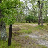 Review photo of Nickerson State Park Campground by Jean C., May 31, 2020