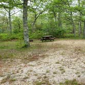 Review photo of Nickerson State Park Campground by Jean C., May 31, 2020