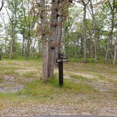 Review photo of Nickerson State Park Campground by Jean C., May 31, 2020