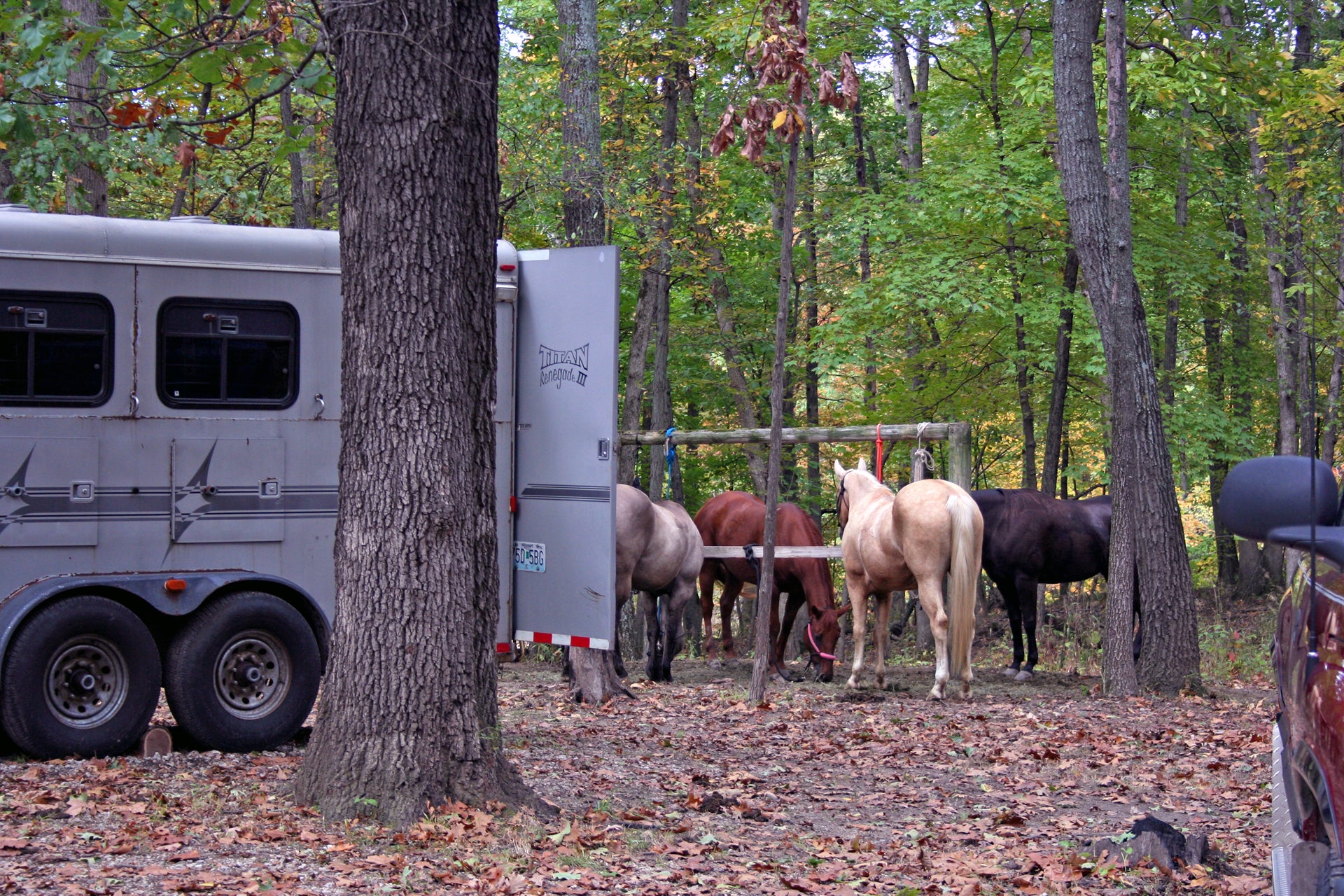 Camper submitted image from Wolf Creek State Park Campground - 5