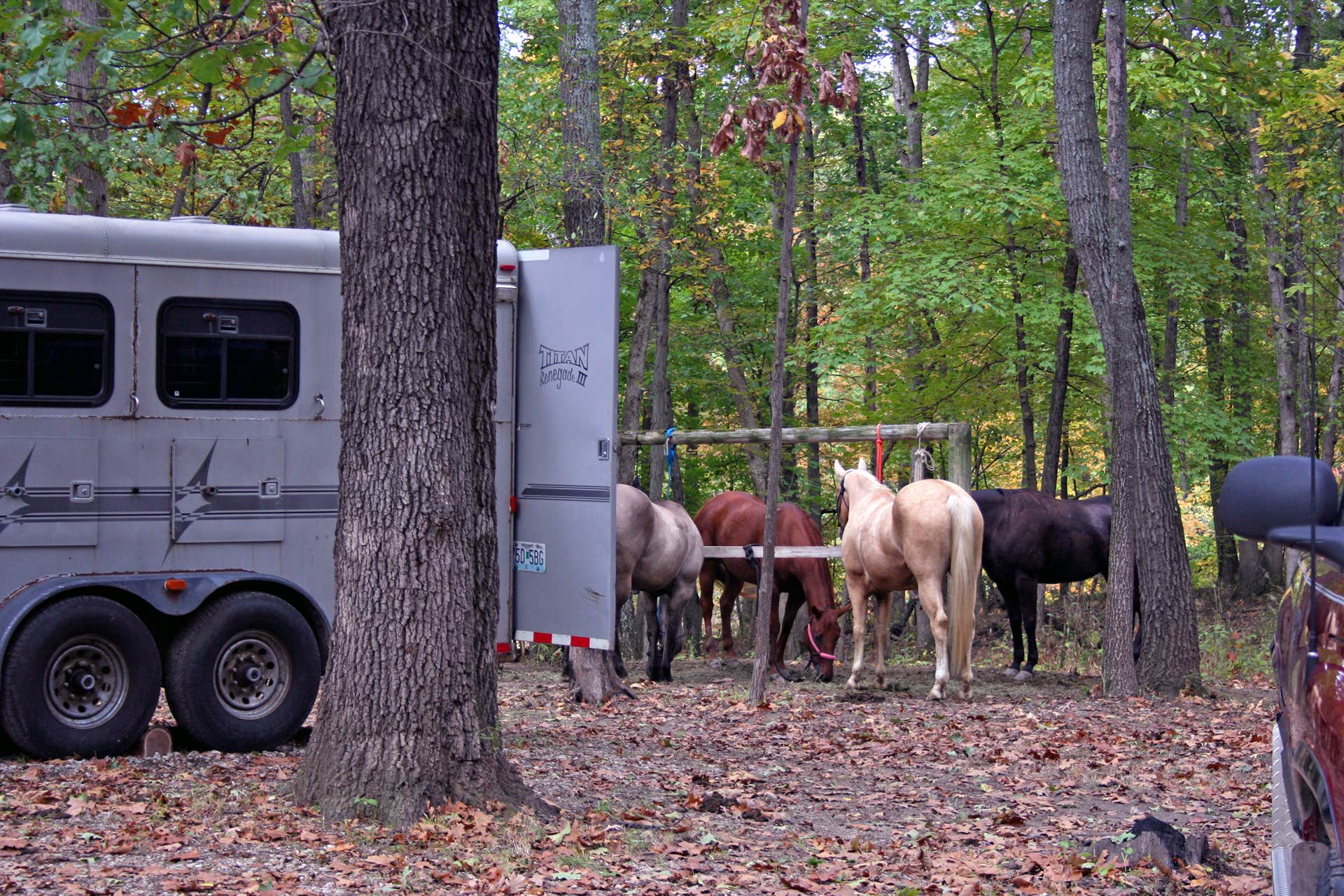 Wolf Creek State Park Camping | The Dyrt