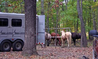 Michael M.'s photo of camping with a horse at Wolf Creek State Park Campground near Effingham, IL