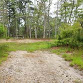 Review photo of Nickerson State Park Campground by Jean C., May 31, 2020