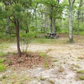 Review photo of Nickerson State Park Campground by Jean C., May 31, 2020