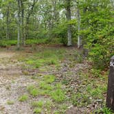 Review photo of Nickerson State Park Campground by Jean C., May 31, 2020