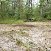 Review photo of Nickerson State Park Campground by Jean C., May 31, 2020