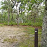 Review photo of Nickerson State Park Campground by Jean C., May 31, 2020