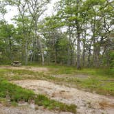 Review photo of Nickerson State Park Campground by Jean C., May 31, 2020