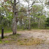 Review photo of Nickerson State Park Campground by Jean C., May 31, 2020