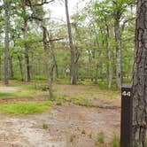 Review photo of Nickerson State Park Campground by Jean C., May 31, 2020