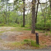 Review photo of Nickerson State Park Campground by Jean C., May 31, 2020