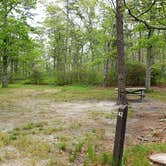 Review photo of Nickerson State Park Campground by Jean C., May 31, 2020