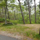 Review photo of Nickerson State Park Campground by Jean C., May 31, 2020