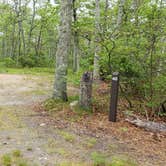 Review photo of Nickerson State Park Campground by Jean C., May 31, 2020