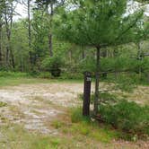 Review photo of Nickerson State Park Campground by Jean C., May 31, 2020