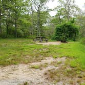 Review photo of Nickerson State Park Campground by Jean C., May 31, 2020