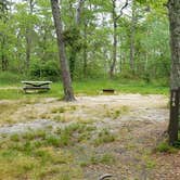 Review photo of Nickerson State Park Campground by Jean C., May 31, 2020