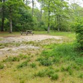 Review photo of Nickerson State Park Campground by Jean C., May 31, 2020