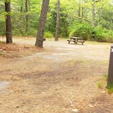 Review photo of Nickerson State Park Campground by Jean C., May 31, 2020