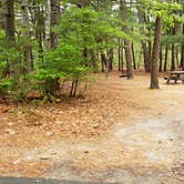 Review photo of Nickerson State Park Campground by Jean C., May 31, 2020