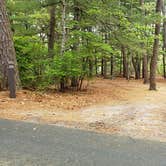 Review photo of Nickerson State Park Campground by Jean C., May 31, 2020