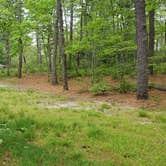 Review photo of Nickerson State Park Campground by Jean C., May 31, 2020