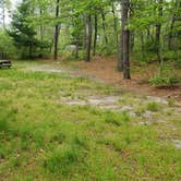 Review photo of Nickerson State Park Campground by Jean C., May 31, 2020