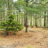 Review photo of Nickerson State Park Campground by Jean C., May 31, 2020