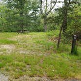 Review photo of Nickerson State Park Campground by Jean C., May 31, 2020