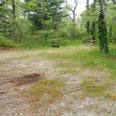 Review photo of Nickerson State Park Campground by Jean C., May 31, 2020