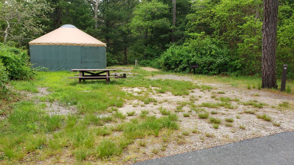 Jean C.'s photo at Nickerson State Park Campground near South Wellfleet, MA