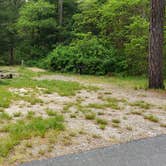 Review photo of Nickerson State Park Campground by Jean C., May 31, 2020