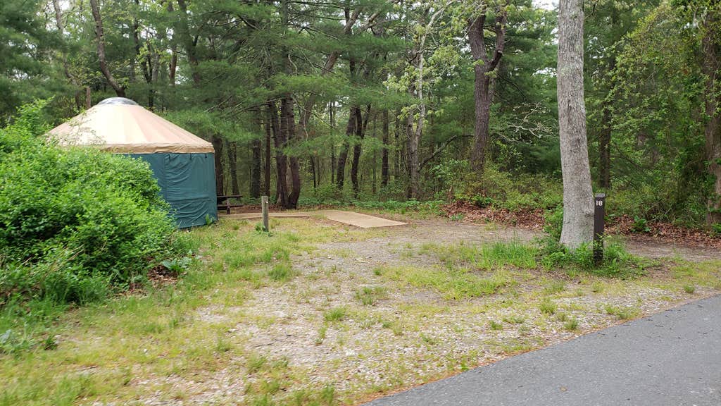 Jean C.'s photo at Nickerson State Park Campground near Barnstable Town, MA