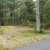 Review photo of Nickerson State Park Campground by Jean C., May 31, 2020