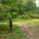 Review photo of Nickerson State Park Campground by Jean C., May 31, 2020