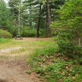 Review photo of Nickerson State Park Campground by Jean C., May 31, 2020