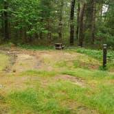 Review photo of Nickerson State Park Campground by Jean C., May 31, 2020