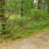 Review photo of Nickerson State Park Campground by Jean C., May 31, 2020