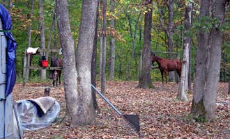 Camping near Coon Creek (IL): Wolf Creek State Park Campground, Findlay, Illinois