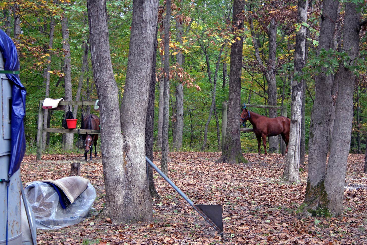 Wolf Creek State Park Camping | The Dyrt