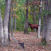 Review photo of Wolf Creek State Park Campground by Michael M., October 9, 2017