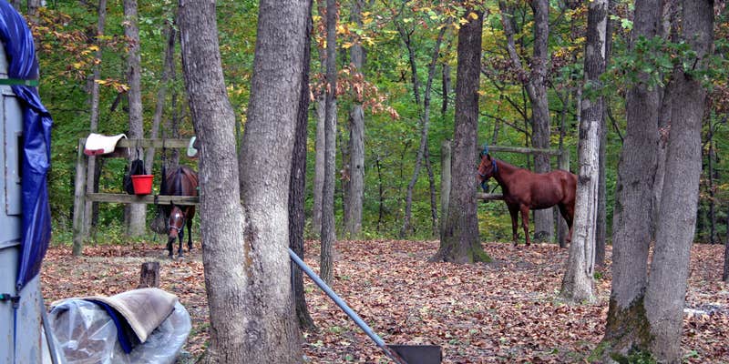 Camper submitted image from Wolf Creek State Park Campground