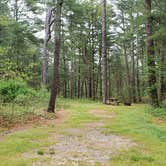 Review photo of Nickerson State Park Campground by Jean C., May 31, 2020