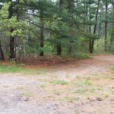 Review photo of Nickerson State Park Campground by Jean C., May 31, 2020