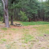 Review photo of Nickerson State Park Campground by Jean C., May 31, 2020