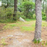 Review photo of Nickerson State Park Campground by Jean C., May 31, 2020