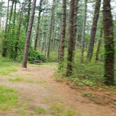 Review photo of Nickerson State Park Campground by Jean C., May 31, 2020