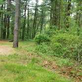 Review photo of Nickerson State Park Campground by Jean C., May 31, 2020