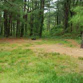 Review photo of Nickerson State Park Campground by Jean C., May 31, 2020